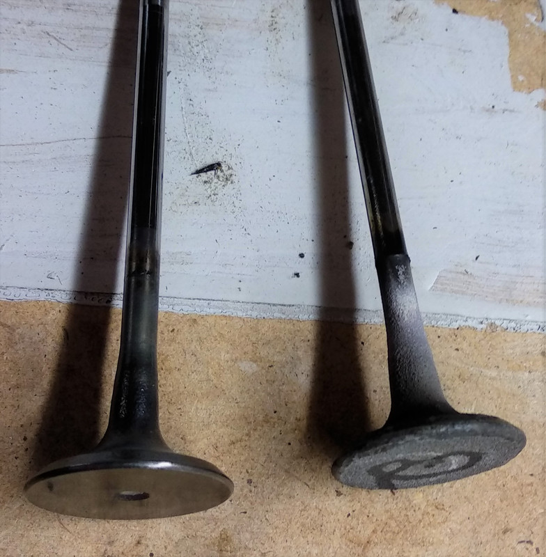 IMG_20190116_204927 (2)