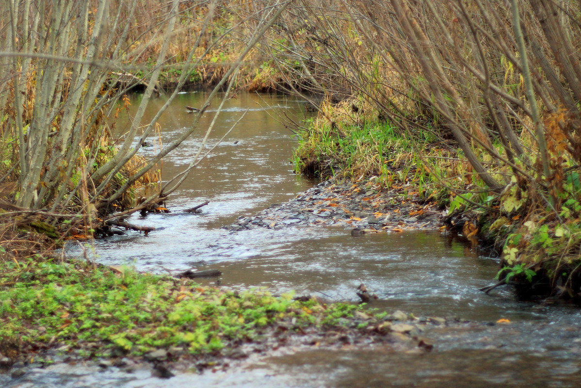 IMG_6613 (2346 x 1566)