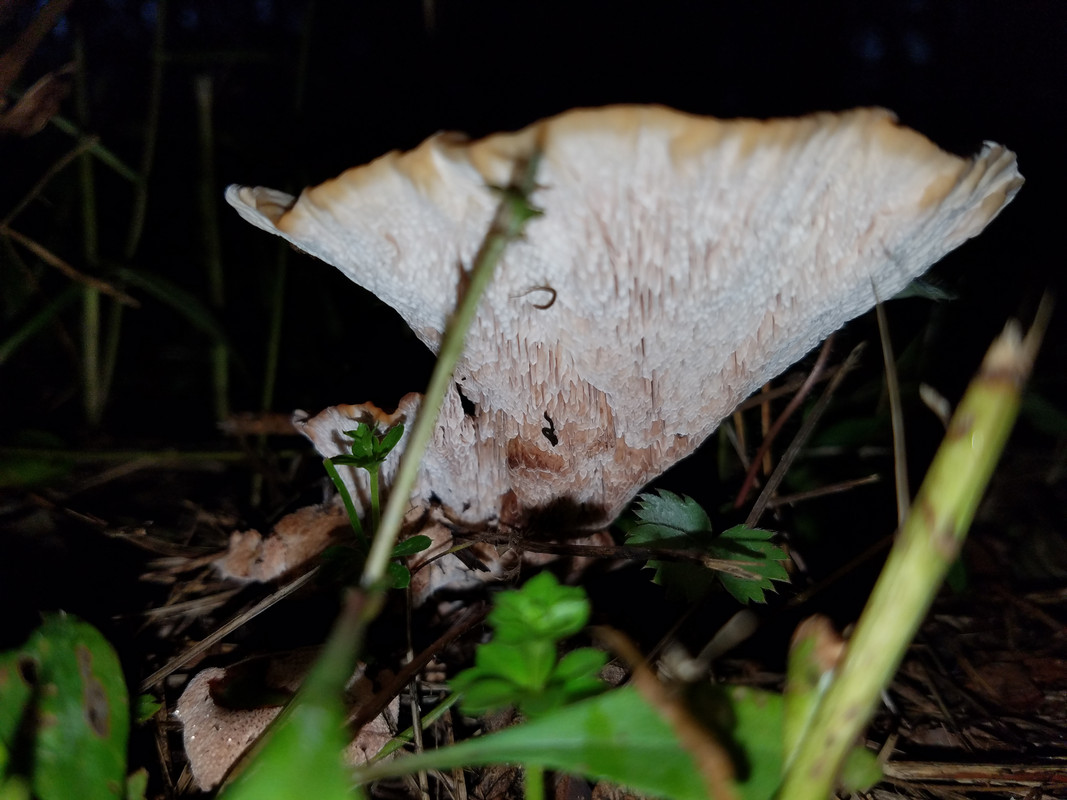 20180903_183704