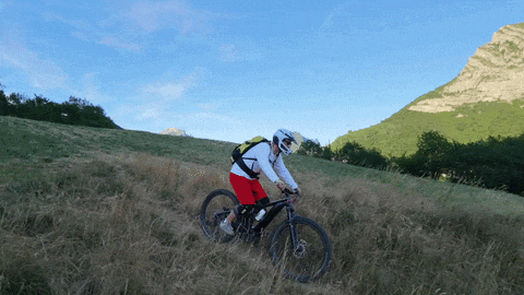 https://i.postimg.cc/zXmKZjcP/B-ezgif-com-optimize.gif