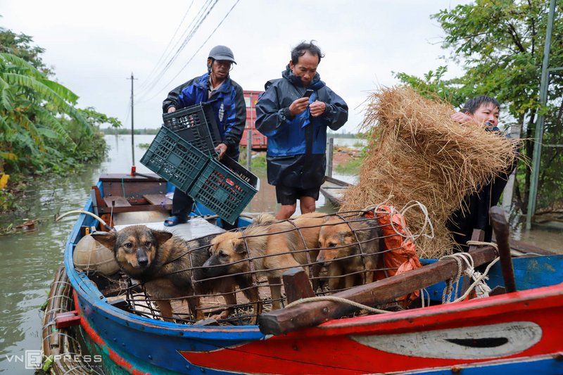 Hình ảnh