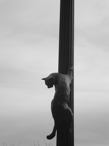 1-cat-on-rail-Asheville-Urban-Trail-Stella-Deer