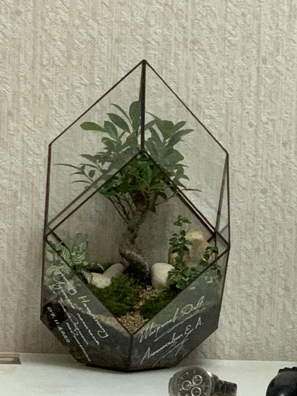 BD47319A-E60B-4AA5-B5F3-27F2AD65A7AF