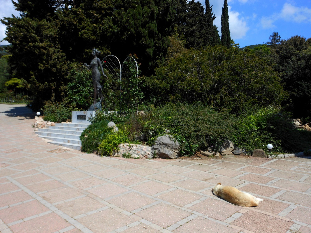 пёс у флоры