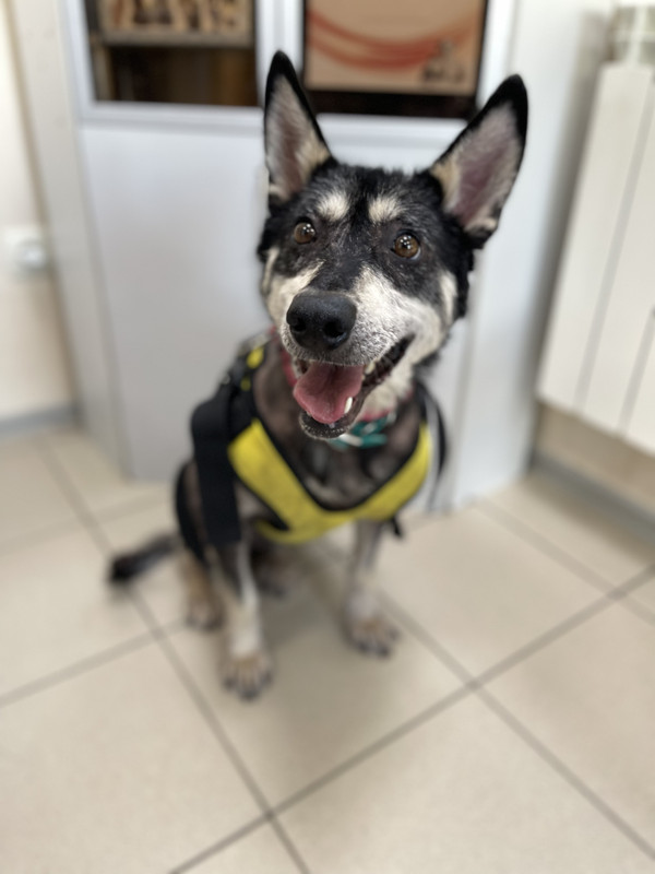 D8A2E2F1-19AB-4A46-9E42-BC374D3ED8B3