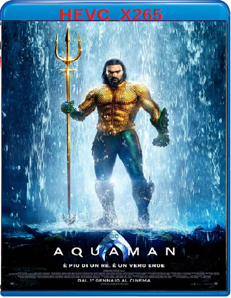 Aquaman (2018) mkv FullHD 1080p HEVC AC3 ITA ENG Sub