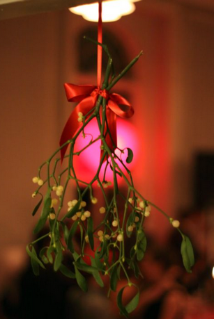 Mistletoe.png
