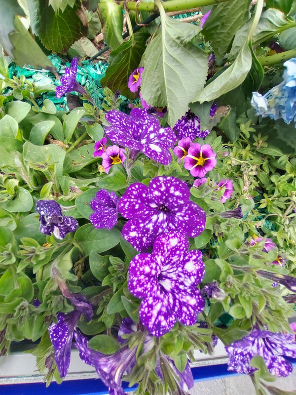 https://i.postimg.cc/zXnj301R/03-IMG-20220601-123136.jpg