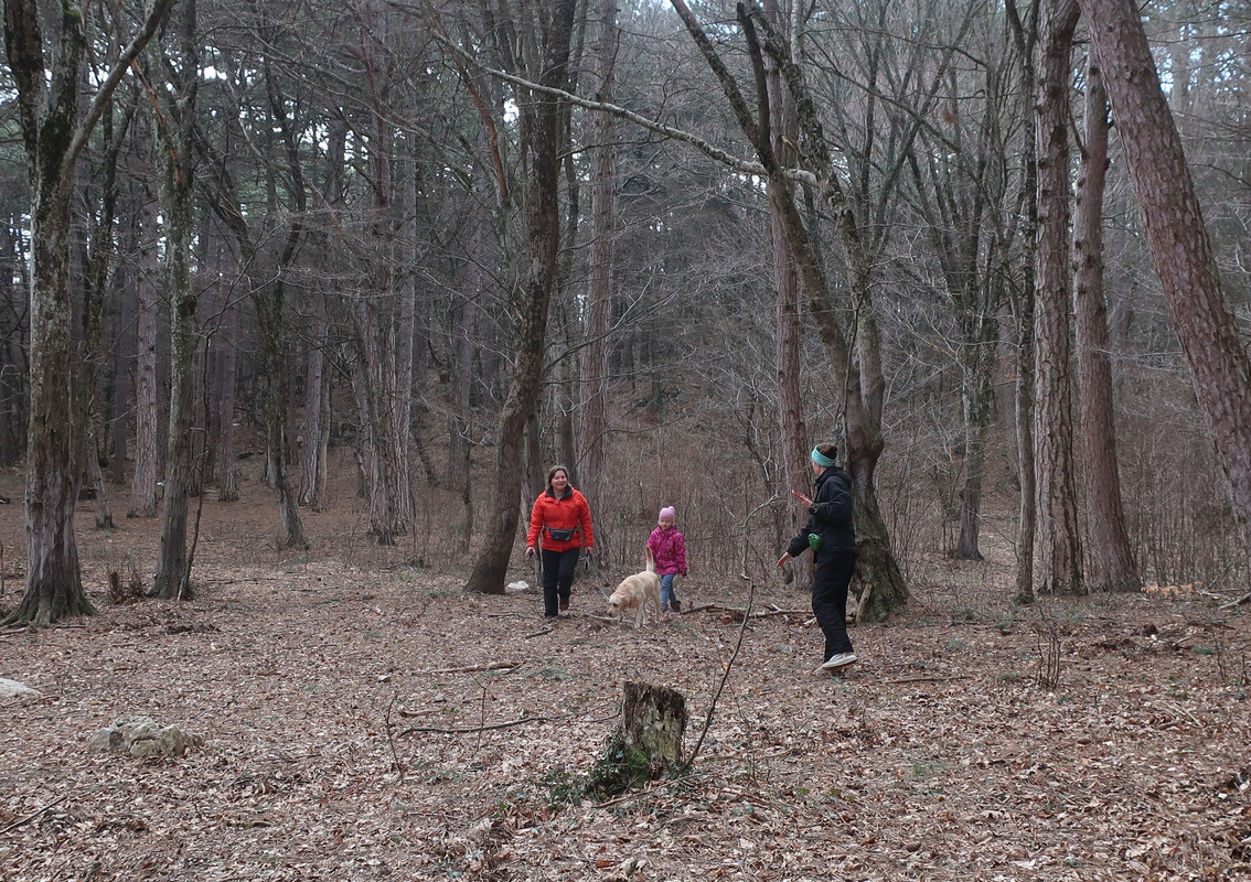 273895934-966785094223531-92211291019938