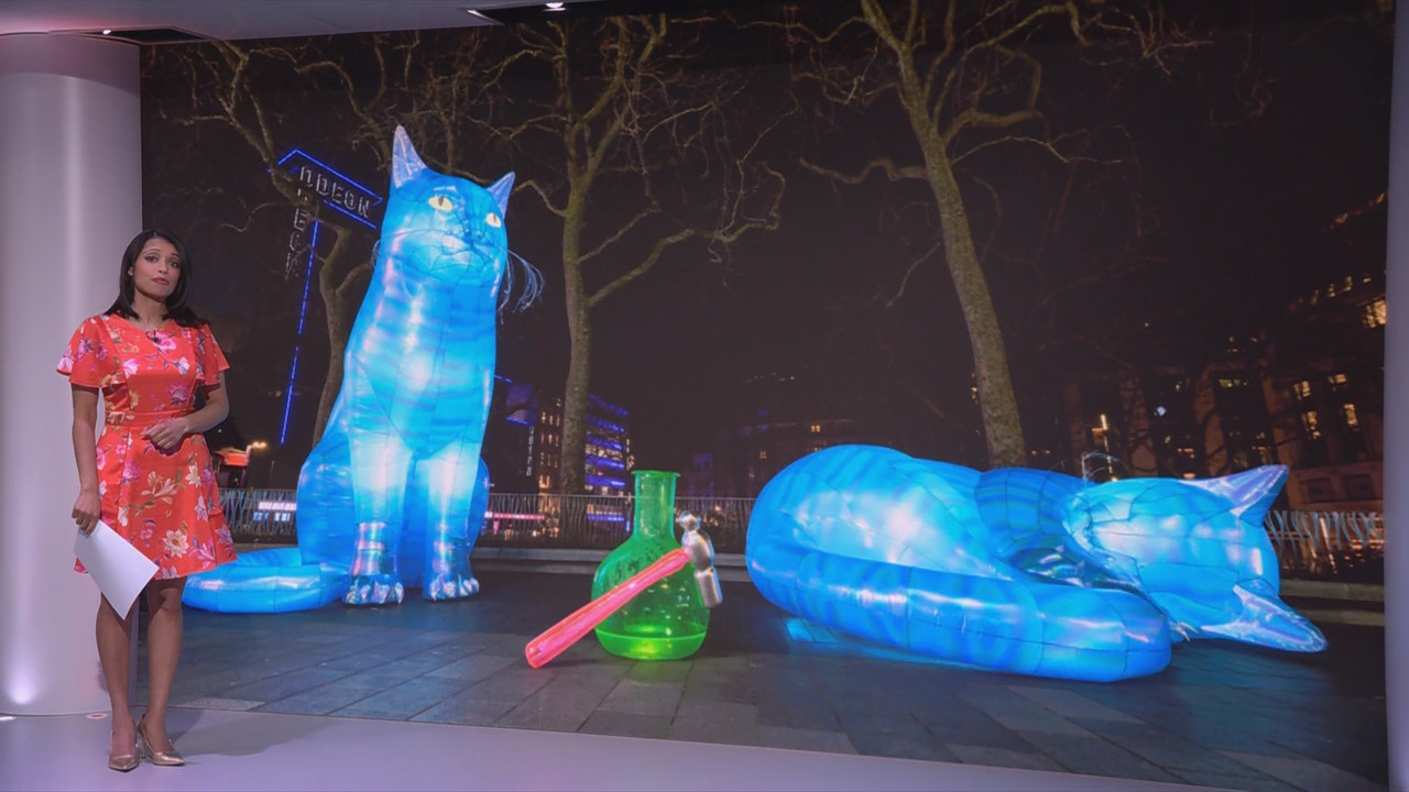 BBC London News_20250307_22302240.ts_snapshot_07.37.025