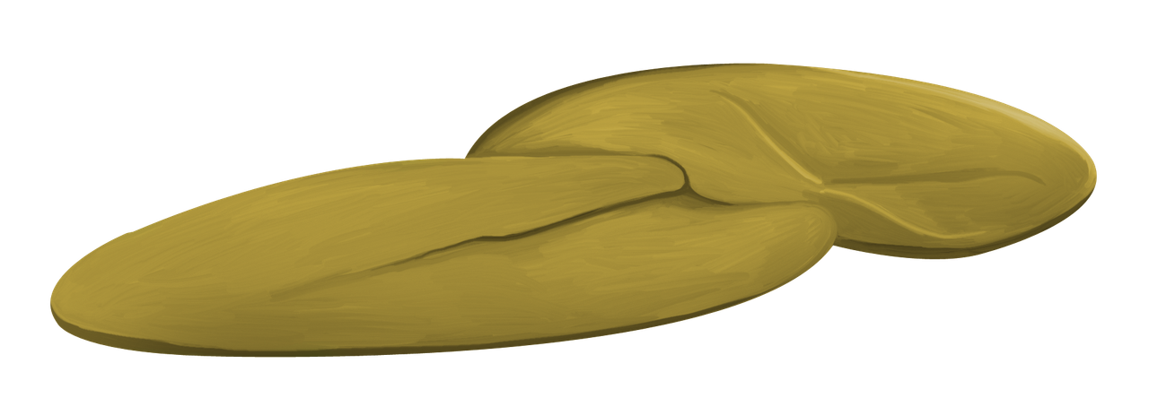 e72_ks
