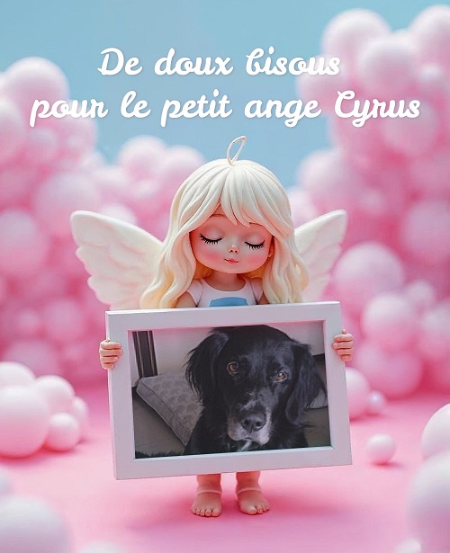 pixiz 02 12 2025 02 52 58