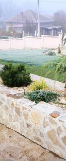 IMG_20161029_084220