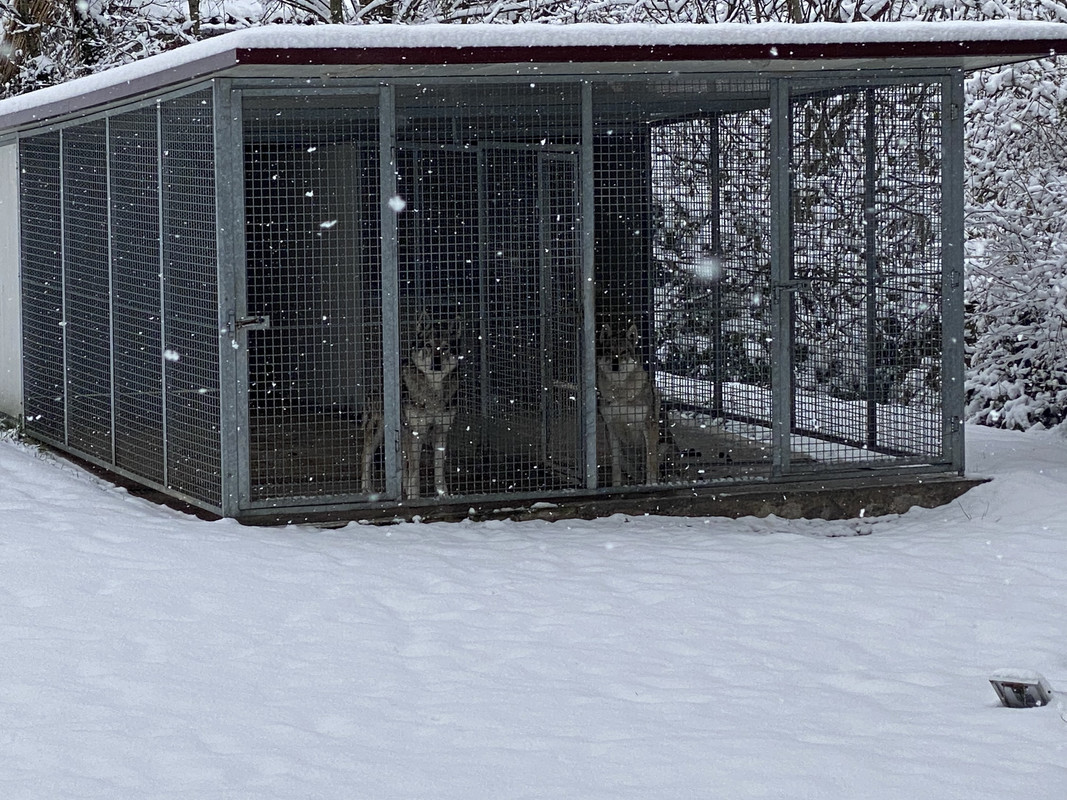 1C71F202-05CD-4955-9AFE-BD1454709432