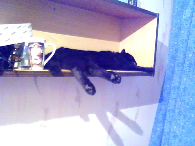 Изображение 004