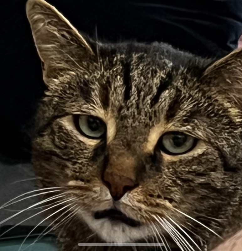 449D9A28-DA00-4A23-9493-BECE8119F4C2