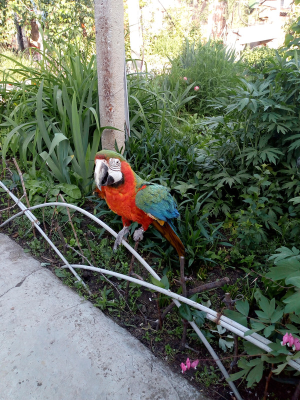 IMG_20190518_181153450