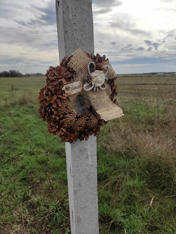 370283146_874940950585438_223284739682192696_n