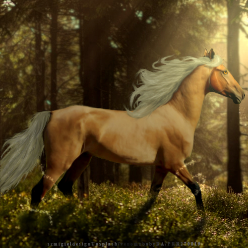 5074-F142-0-B05-44-FE-BA3-D-697-DA753-DD8-C.png