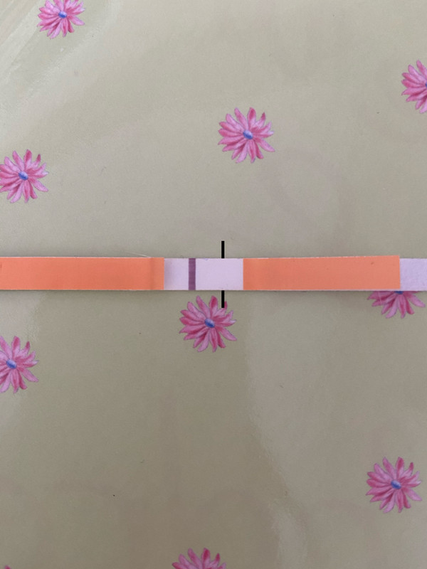 F6B07C2B-7BA6-4848-B425-7653C1FBD450