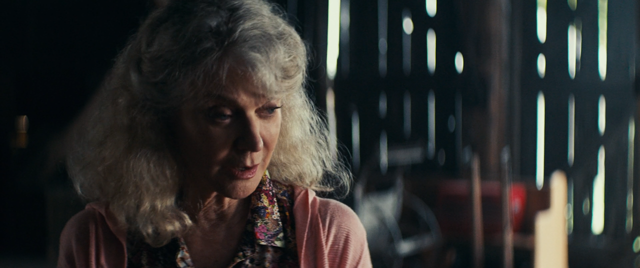 Strange But True (2019) [BluRay Rip 1080p ITA-ENG DTS-AC3 SUBS] 