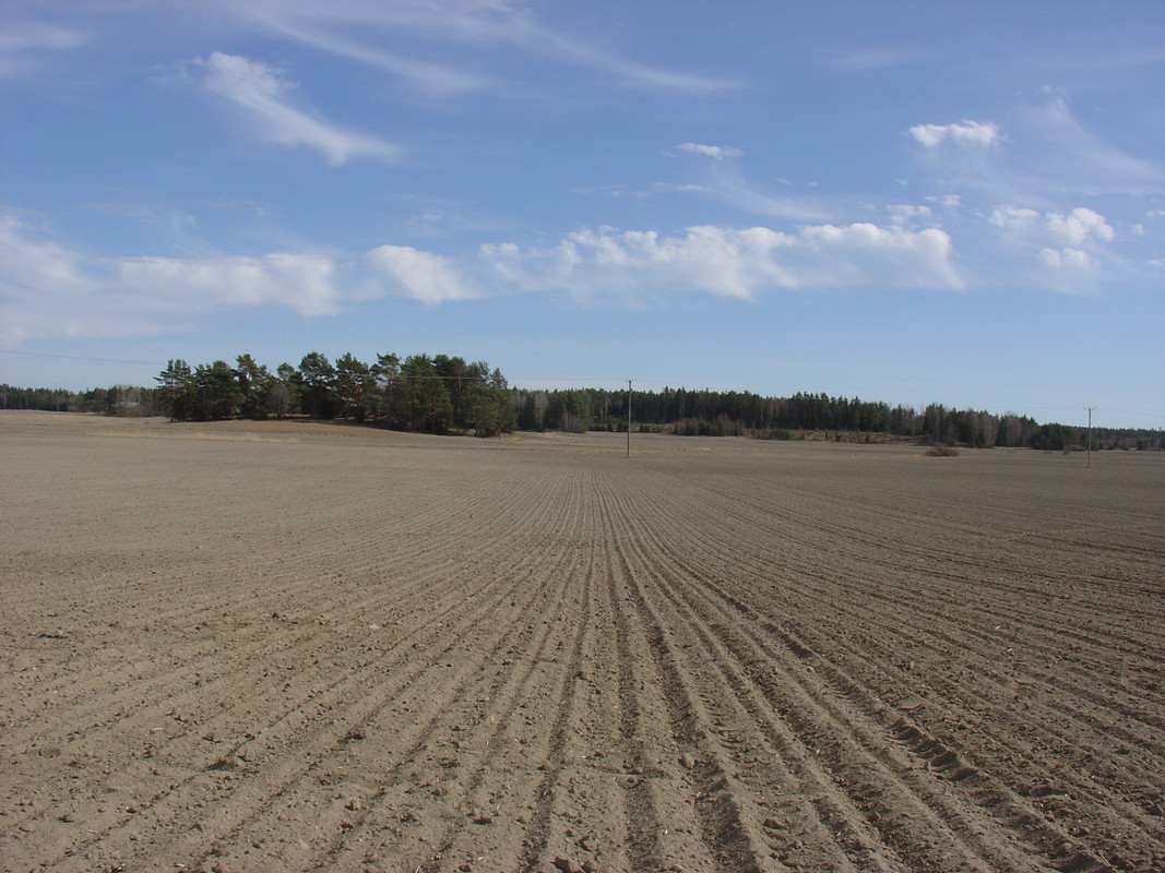 2014-04-26 - Vasumet Pederså 01