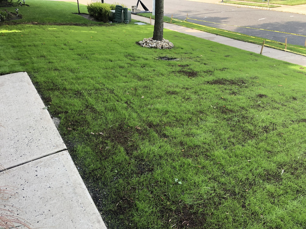 E6AD9682-DA5A-4CA5-A23B-DB3AF99CDD7A