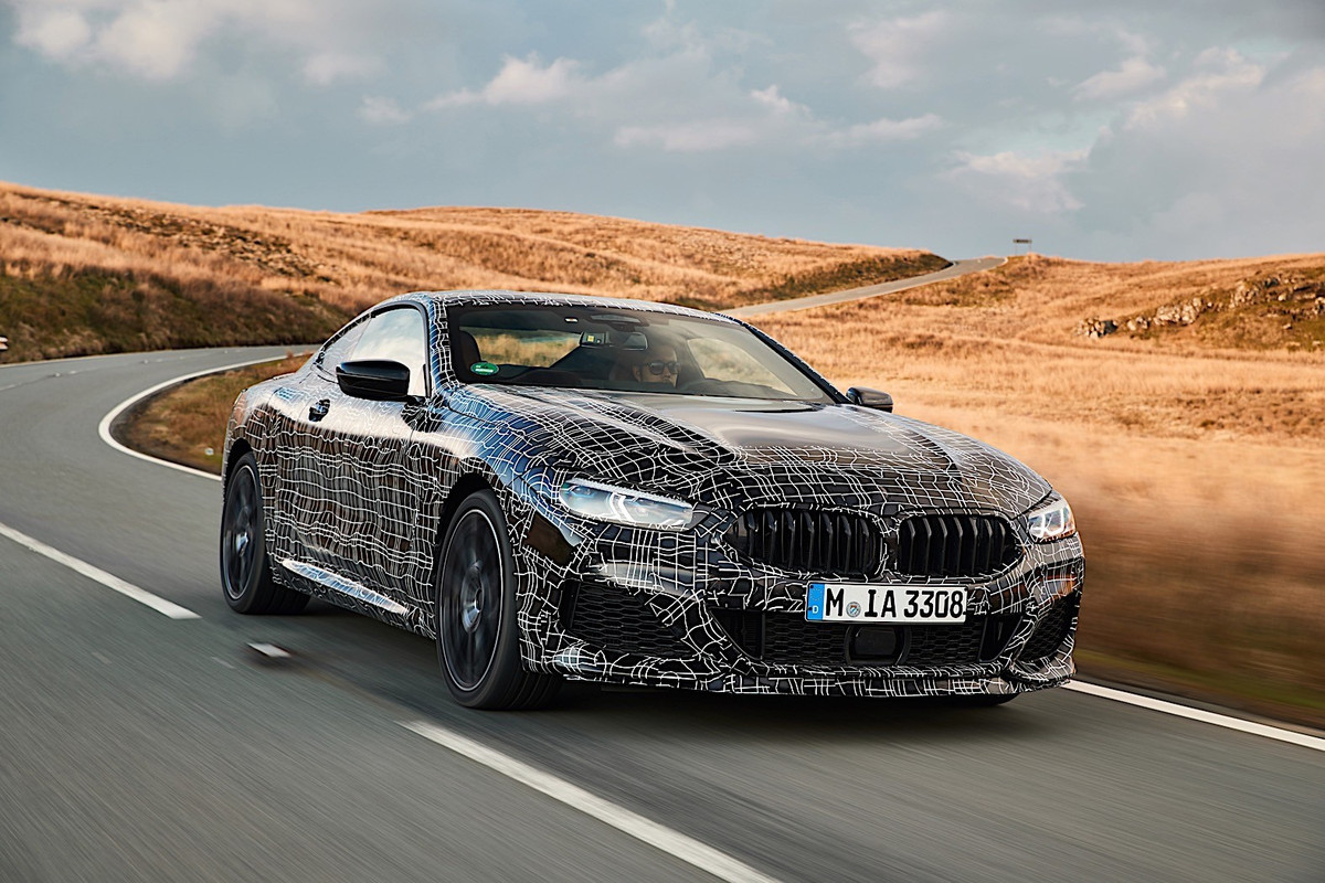 BMW 8 Series Coupe (18)