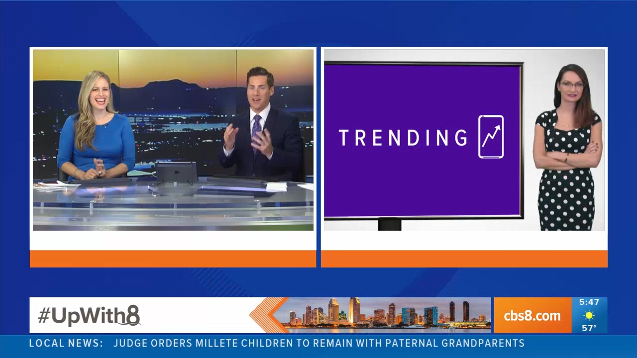 11.11 - 12.30.00 - News 8 This Morning 4 30am  ᴺᵉʷ. News coverage to ..._001.ts_snapshot_00.02.39.34