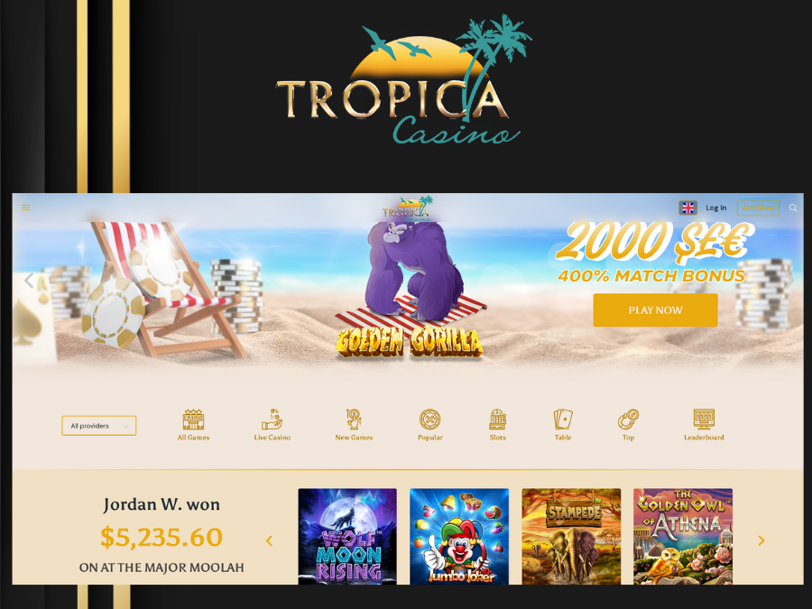 Place Your Confidence in Tropica Casino Review: The Trusted Gambling Establishment