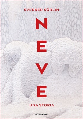 Sverker Sörlin - Neve (2025)