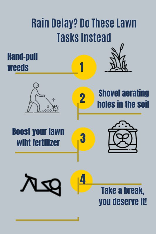 infographics recommends what lawn tasks to do during rainy weather