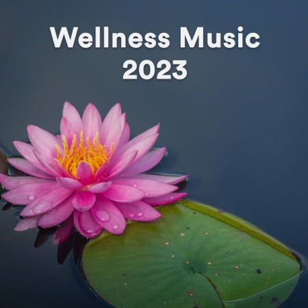 VA - Wellness Music 2023 (2023)