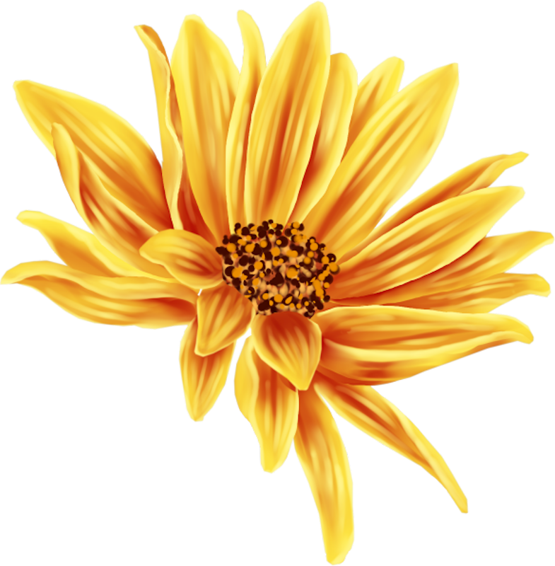 IPD_AH_Element (104)