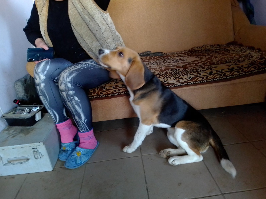 18DA75F4-074F-480B-9F68-41051606950C