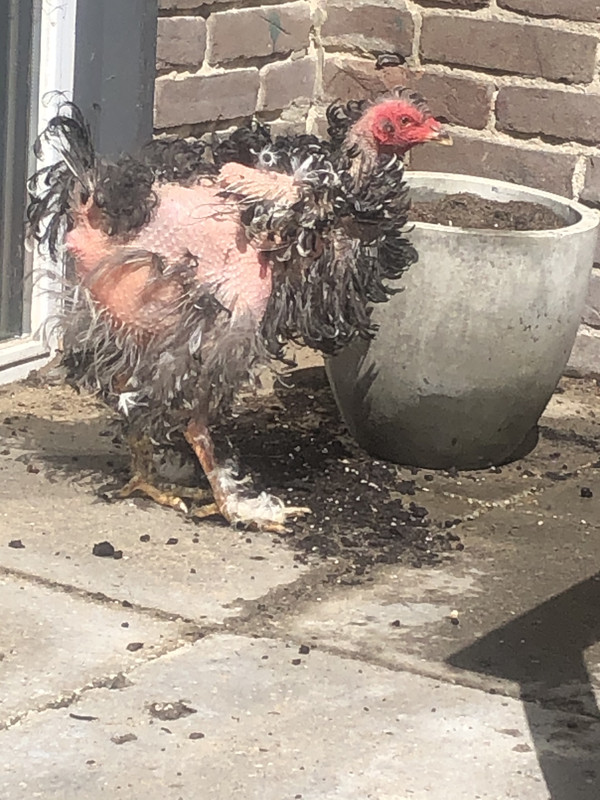 75EEB979-63AE-4A77-9C18-4ACEB2A7EE65