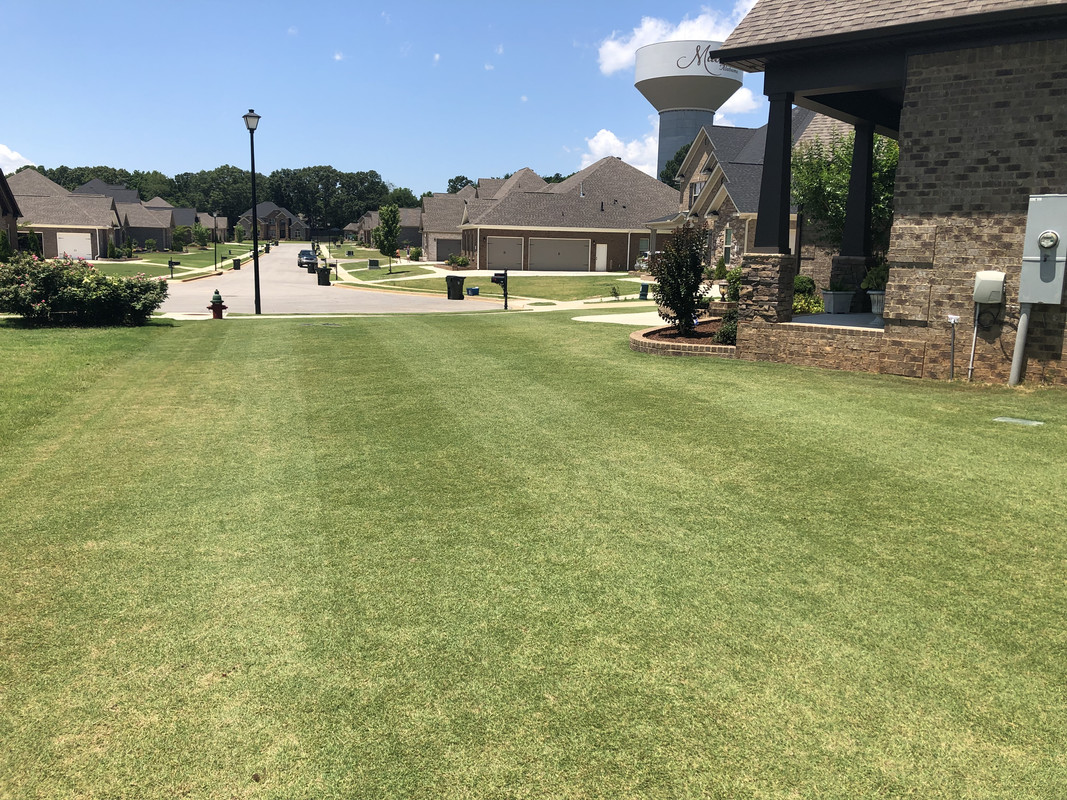 299B8D50-F888-4FED-AA7E-4F62CFDDB5AF