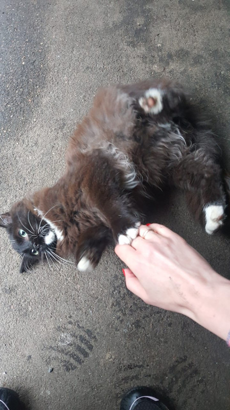 viber image 2019-05-06 , 16.56.10