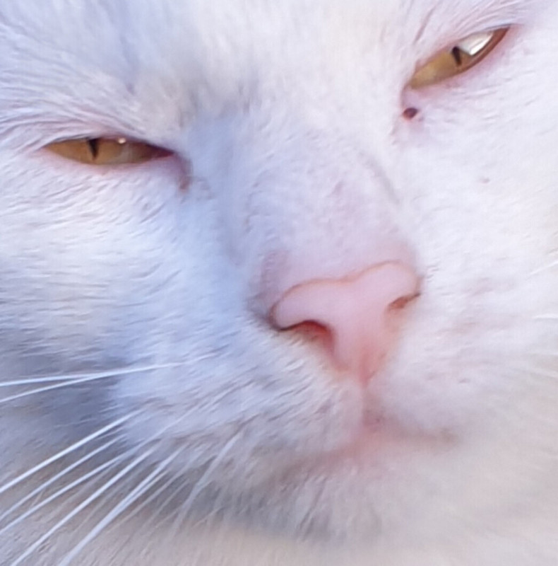 Lumii 20260103 131733210