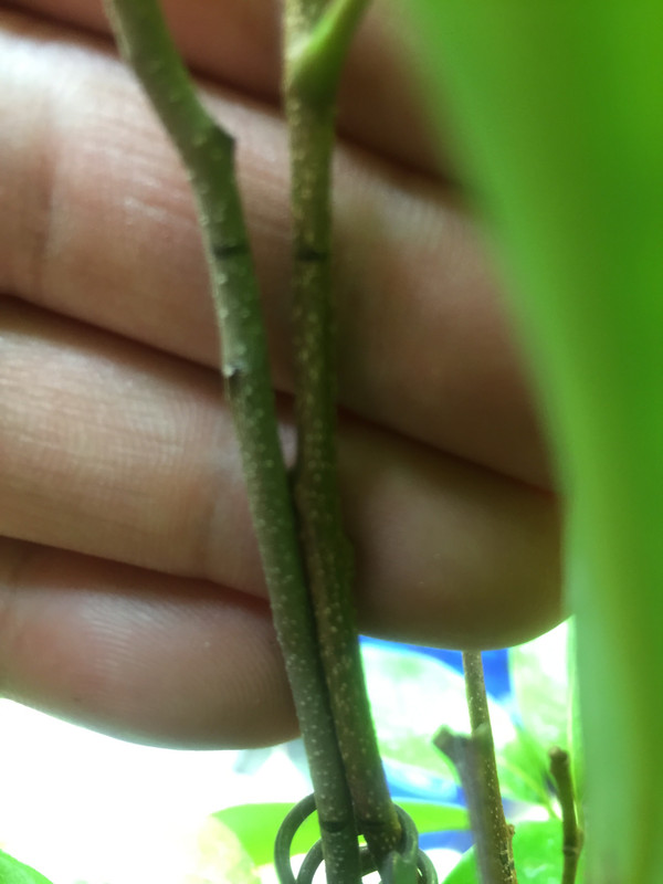 22AEDD34-009A-4A84-AF02-1B8B2CB4D059