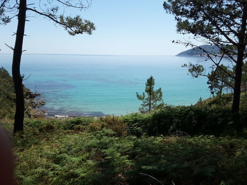 IMG-20170524-WA0041