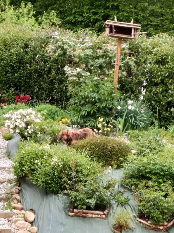 [Image: IMG-20230429-152438.jpg]