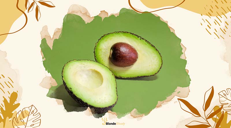 Avocados Are Important for Health A Nutrient-Rich Superfood