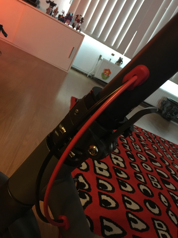 A4EBE98F-CA65-430D-A053-EC7C6155B84D