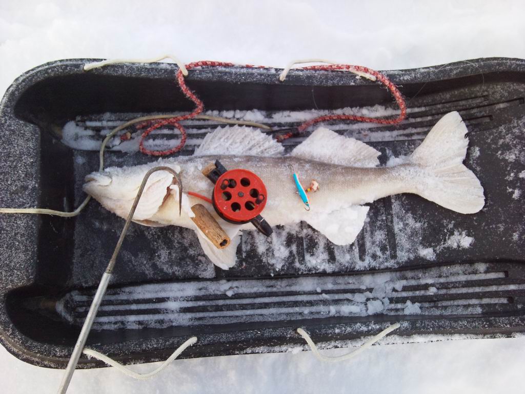 Удочка Дельфин