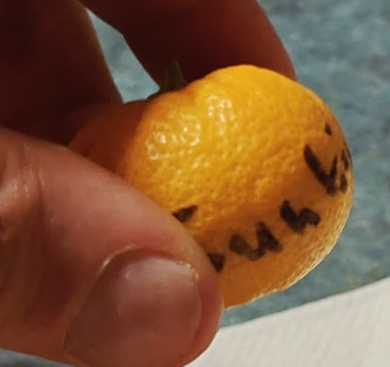 Citrus sunki x PT whole