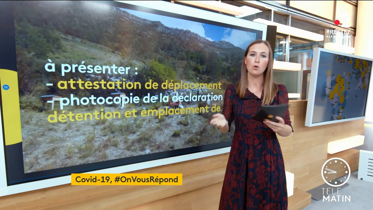 2020-04-09_06_30_Fr2_Telematin.mp4_snapshot_02.23.28_[2020.04.19_23.48.47]
