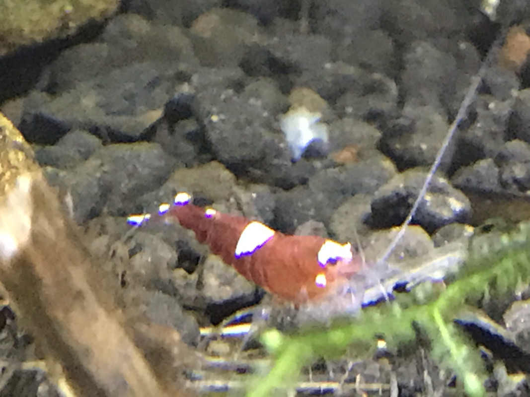 B309C523-5929-4213-AAA2-A2D0DE9DA5C9