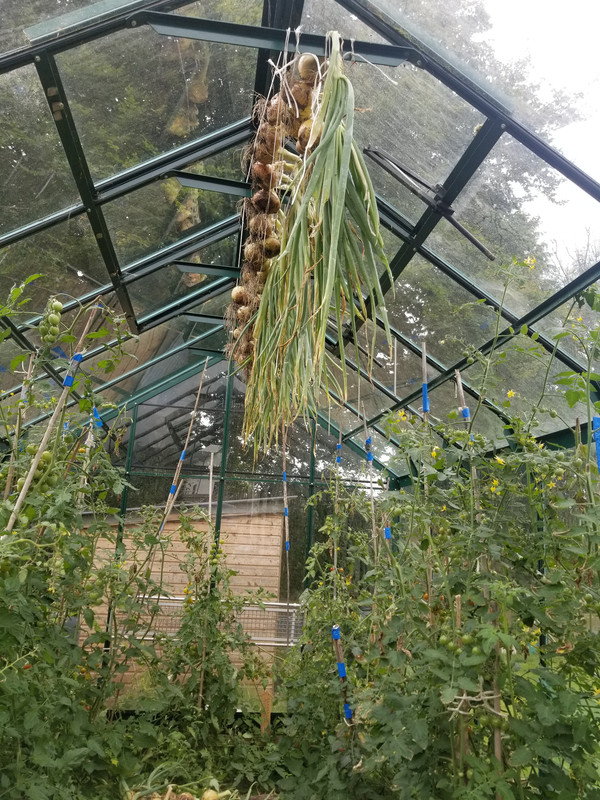 20230804_142920.jpg
