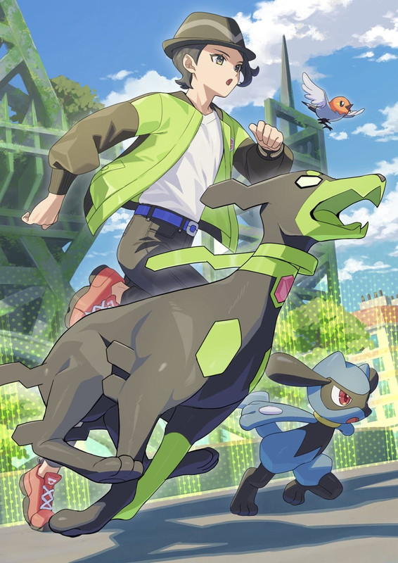 riolu-paxton-zygarde-and-fletchling-poke